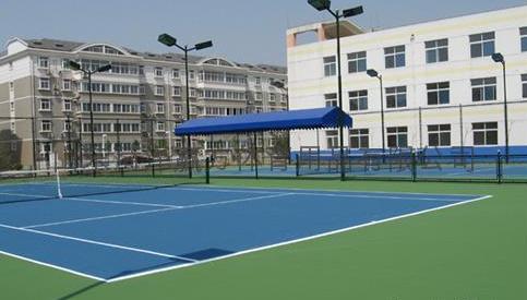 生產(chǎn),銷售,工程施工為一體的專業(yè)體育場地設(shè)施營造企業(yè)