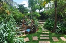 世園會開園啦,快和佑康一起欣賞園藝的魅力