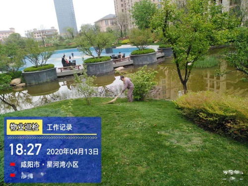 亮點 物業園林綠化整改提升小區環境品質