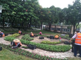 園林綠化 綠化工程 草坪種植養護 樹木修剪 花境種植 植物墻