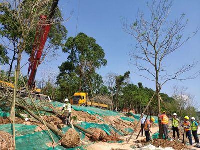 如何加強園林綠化工程施工現場的管理要點?