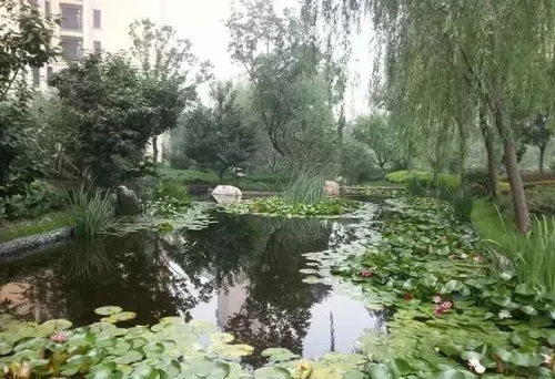 這些園林綠化工程施工技術(shù)規(guī)范,值得你花時(shí)間學(xué)習(xí)一下