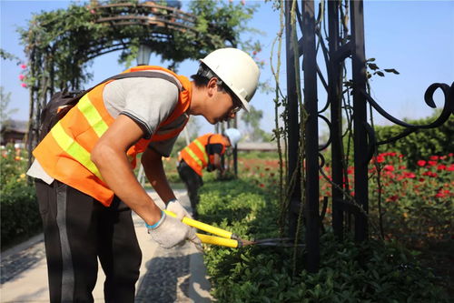 盛夏果實,不負光陰 人文園林綠化施工實操技能培訓圓滿完成