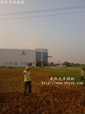 園林綠化設計,施工,苗木,花卉,草坪出售,工廠,廠商-武漢市久逢園林工程