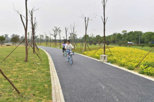 綿陽再添綠色新名片 大型公園試開園，園林綠化工程圓滿竣工