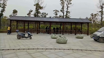 生態(tài)木花架與體育場地設(shè)施工程施工 價格、耐用性與施工指南